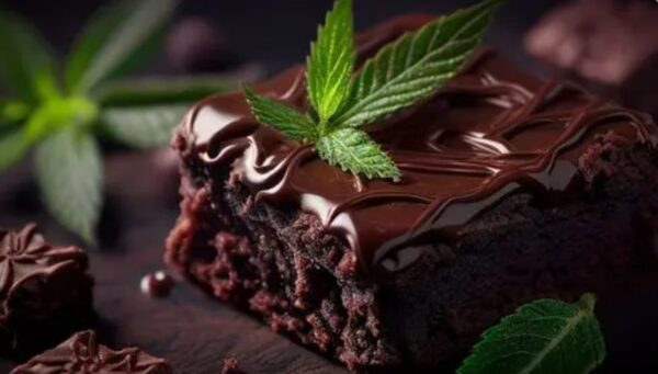 Reasons to think twice before trying a weed brownie