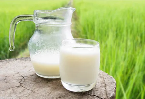 Is it safe to drink raw milk straight from a cow?