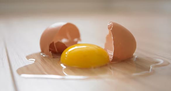 How to easily tell if an egg has gone bad